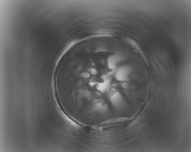 X0000062621243200512230938