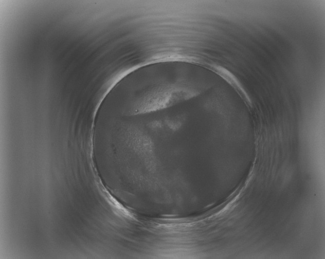 X0000062621244200512230938
