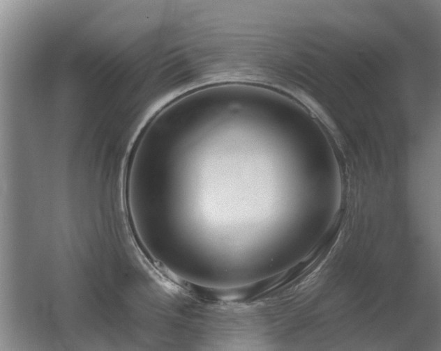 X0000062621246200512230938