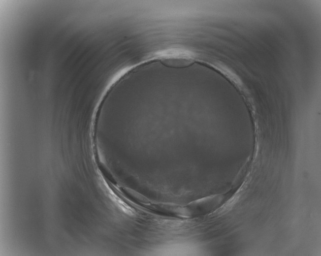 X0000062621248200512230938