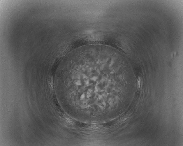 X0000062621251200512230937