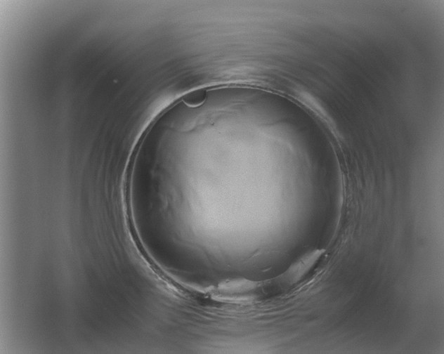 X0000062621291200512230936