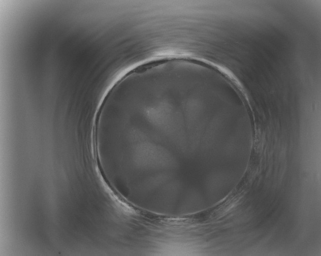 X0000062621295200512230936