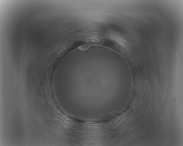 X0000062621297200512230935