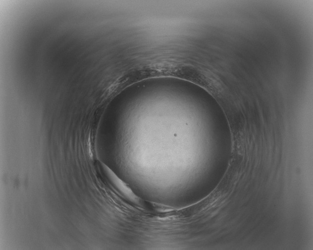 X0000062621298200512230935
