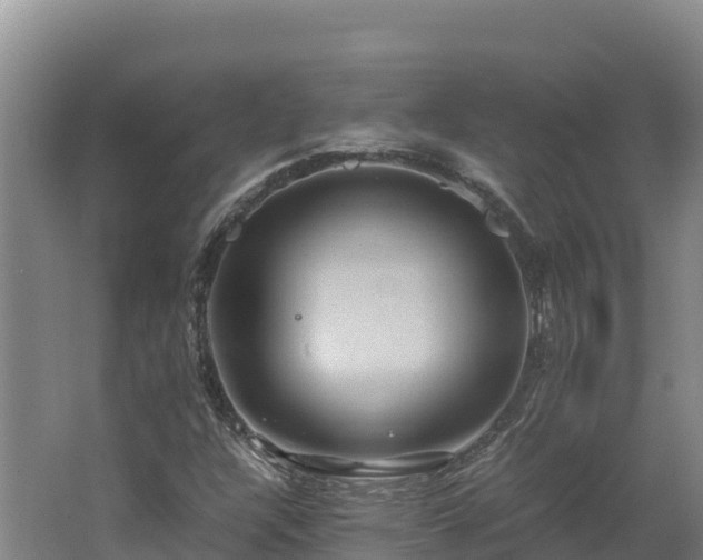 X0000062621304200512230936