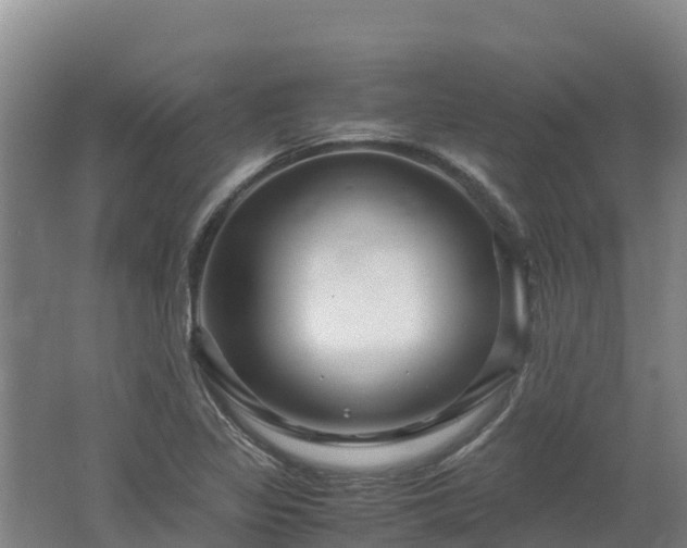 X0000062621317200512230936