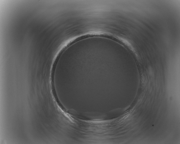 X0000062621327200512230936
