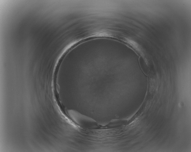 X0000062621331200512230936