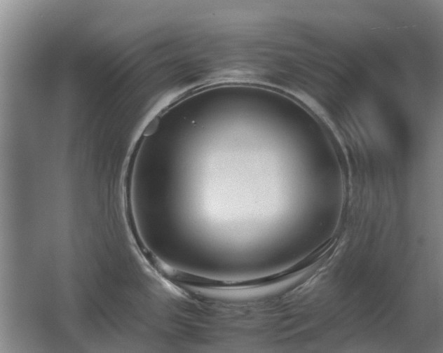 X0000062621341200512230936