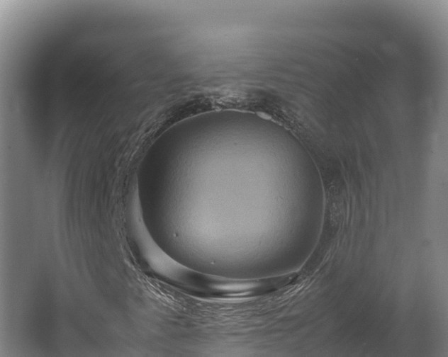 X0000062621345200512230935
