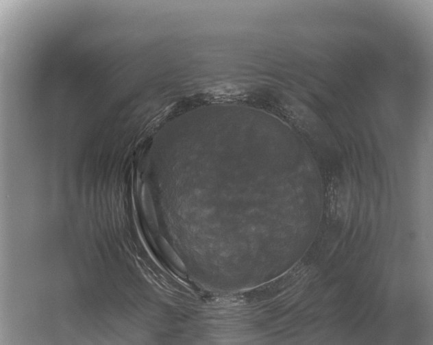 X0000062621346200512230935