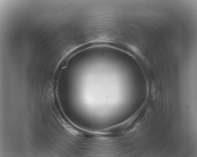 X0000062621356200512230935