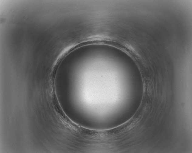 X0000062621358200512230935