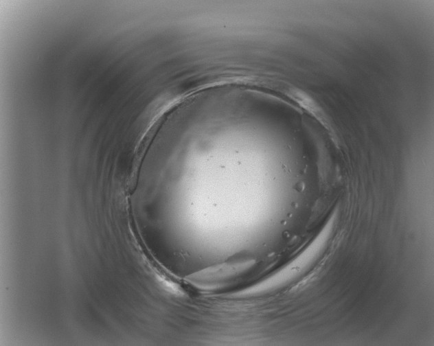 X0000062621377200512230935