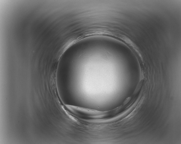 X0000062621385200512230935