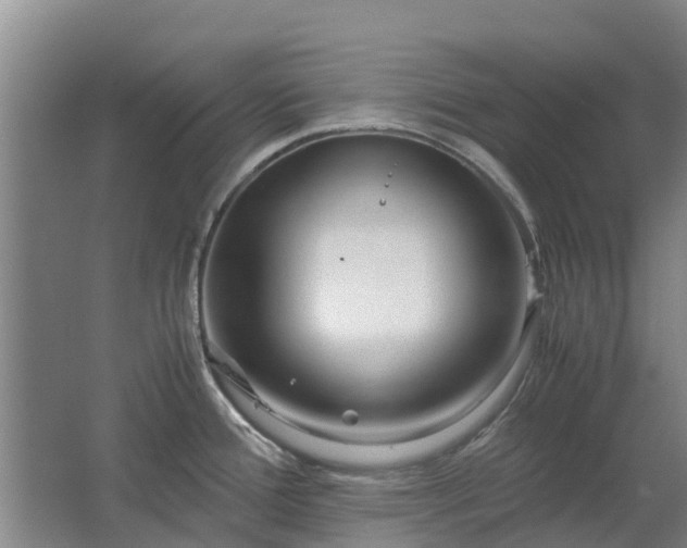 X0000062621388200512230935