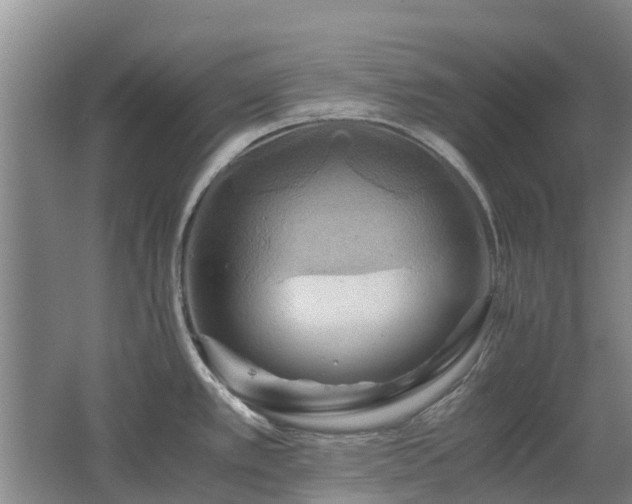 X0000062621389200512230935