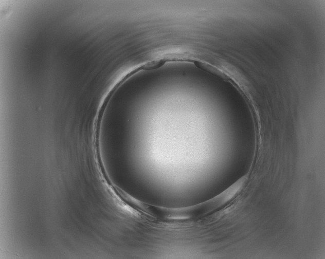 X0000062621392200512230935