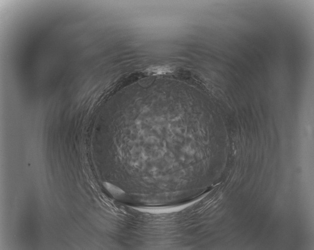X0000062621393200512230934