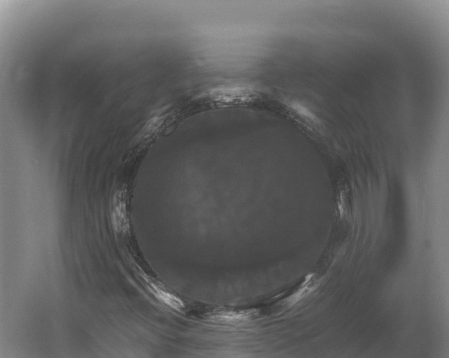 X0000062621396200512230934