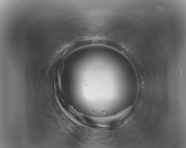 X0000062621398200512230934