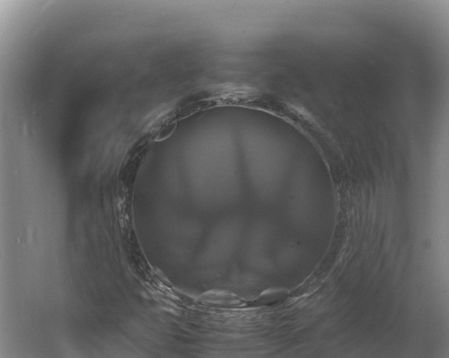 X0000062621399200512230934