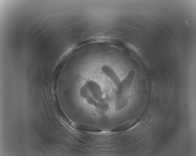 X0000062621403200512230934