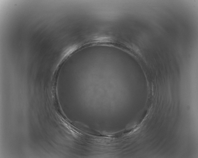 X0000062621405200512230934