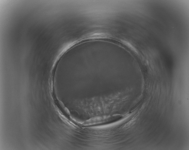 X0000062621413200512230934