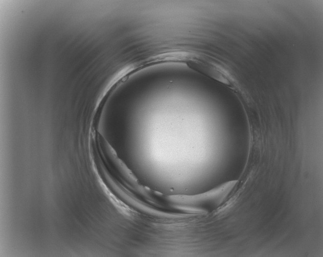X0000062621426200512230934