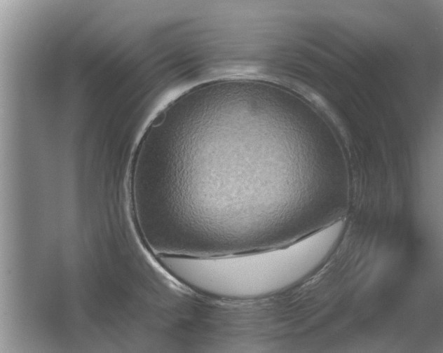 X0000062621432200512230934
