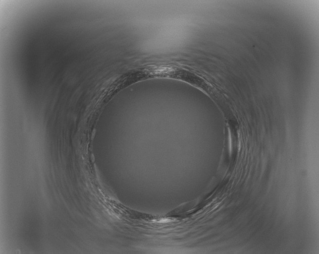X0000062621441200512230934