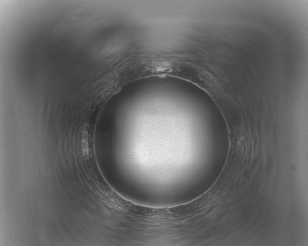 X0000062621442200512230934