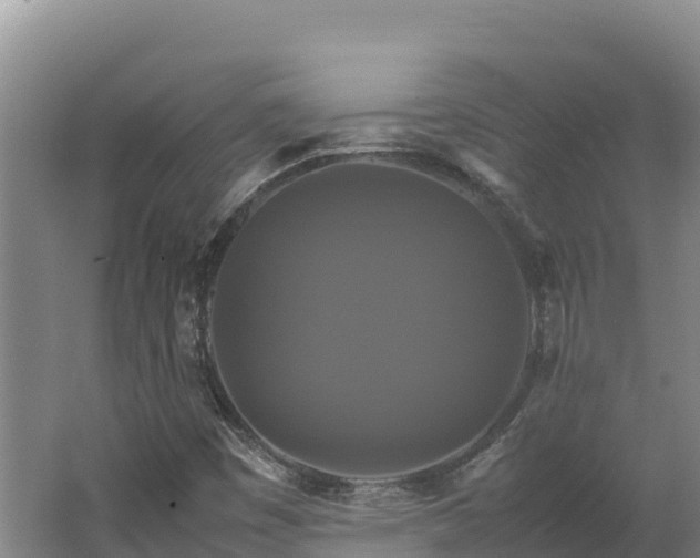 X0000062621449200512230934