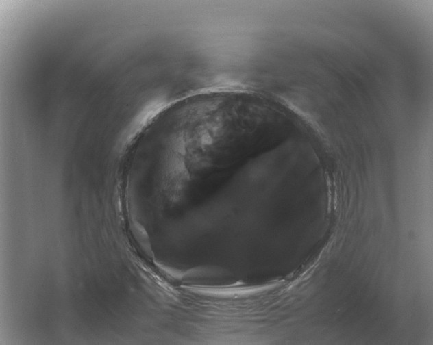 X0000062621455200512230934
