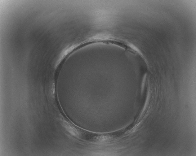 X0000062621461200512230933