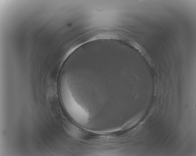 X0000062621465200512230933