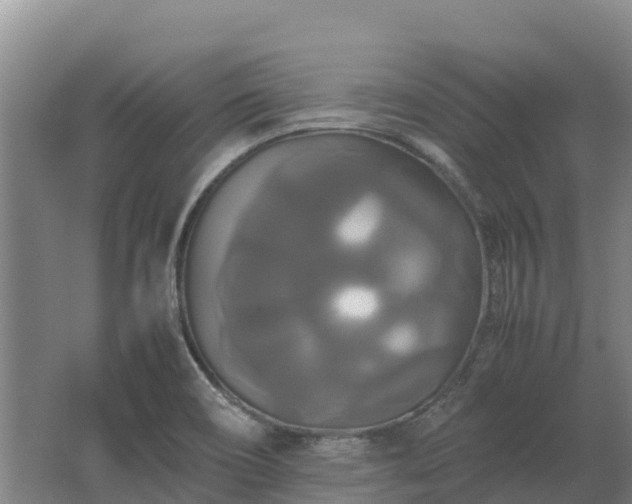 X0000062621466200512230933