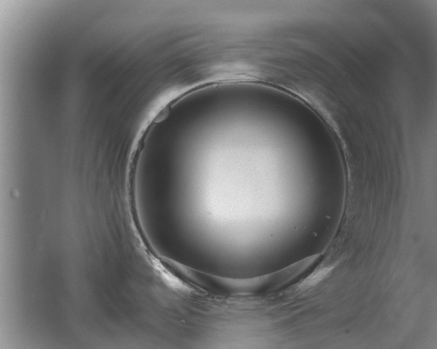 X0000062621488200512230933
