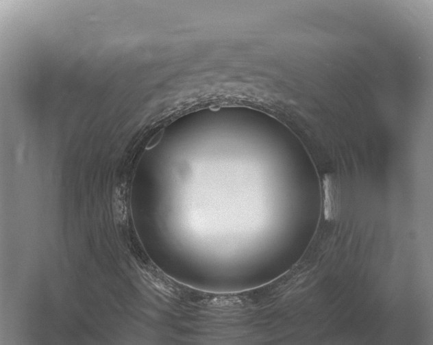 X0000062621491200512230932