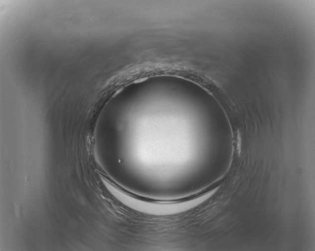 X0000062621492200512230932
