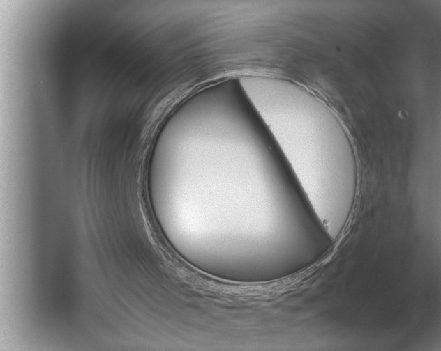 X0000062620001200512281541