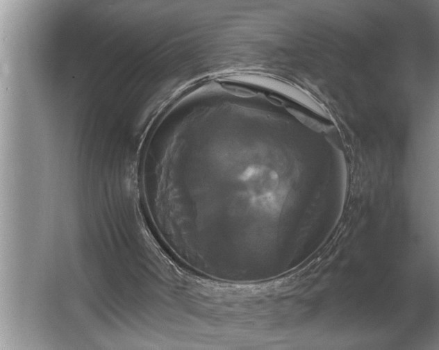 X0000062620002200512281541