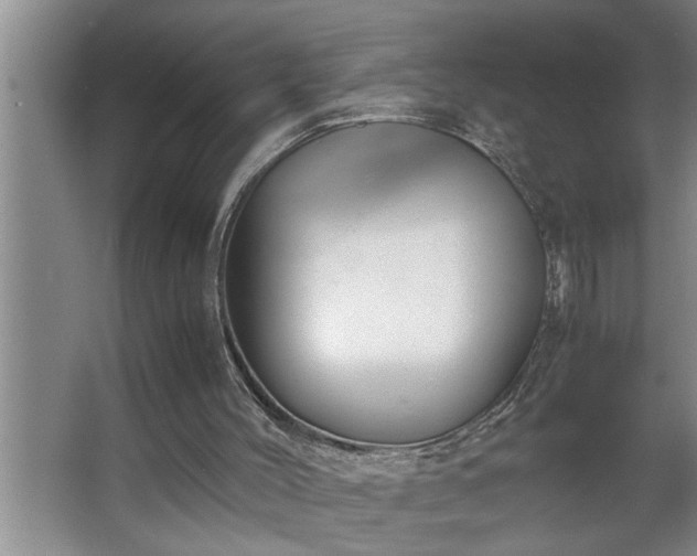 X0000062620004200512281541