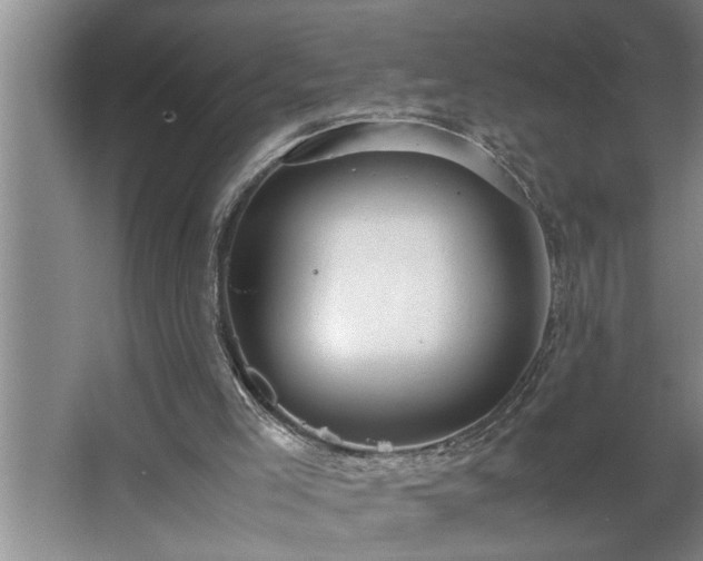 X0000062620005200512281541