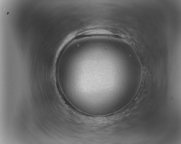 X0000062620006200512281541