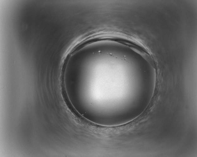 X0000062620007200512281541