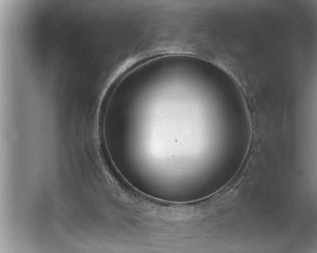 X0000062620008200512281541