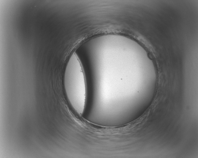 X0000062620009200512281541